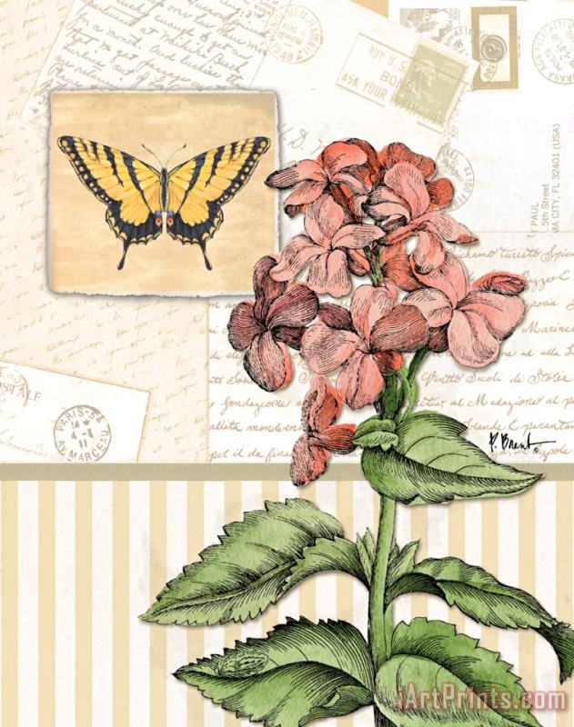 Botanical Collage I painting - Paul Brent Botanical Collage I Art Print