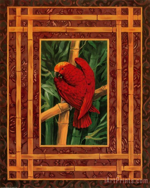 Crimson Parrot painting - Paul Brent Crimson Parrot Art Print
