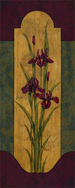 Greek Iris I painting - Paul Brent Greek Iris I Art Print
