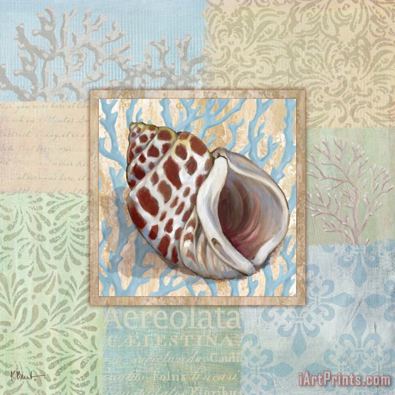 Oceanic Shell Collage I painting - Paul Brent Oceanic Shell Collage I Art Print