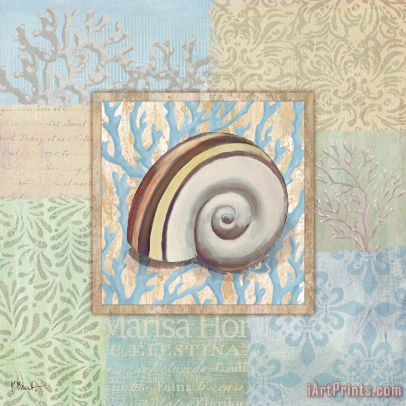 Oceanic Shell Collage Iv painting - Paul Brent Oceanic Shell Collage Iv Art Print