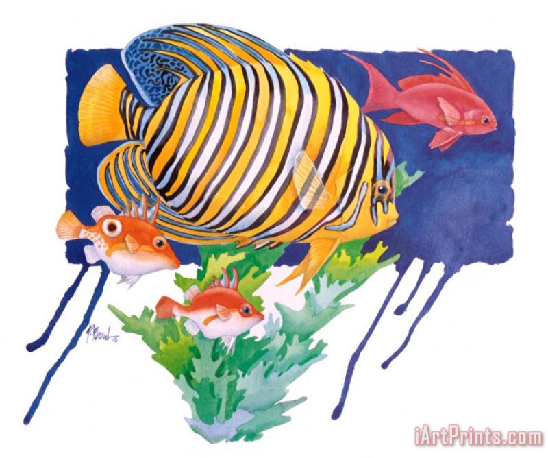 Regal Angel Fish painting - Paul Brent Regal Angel Fish Art Print