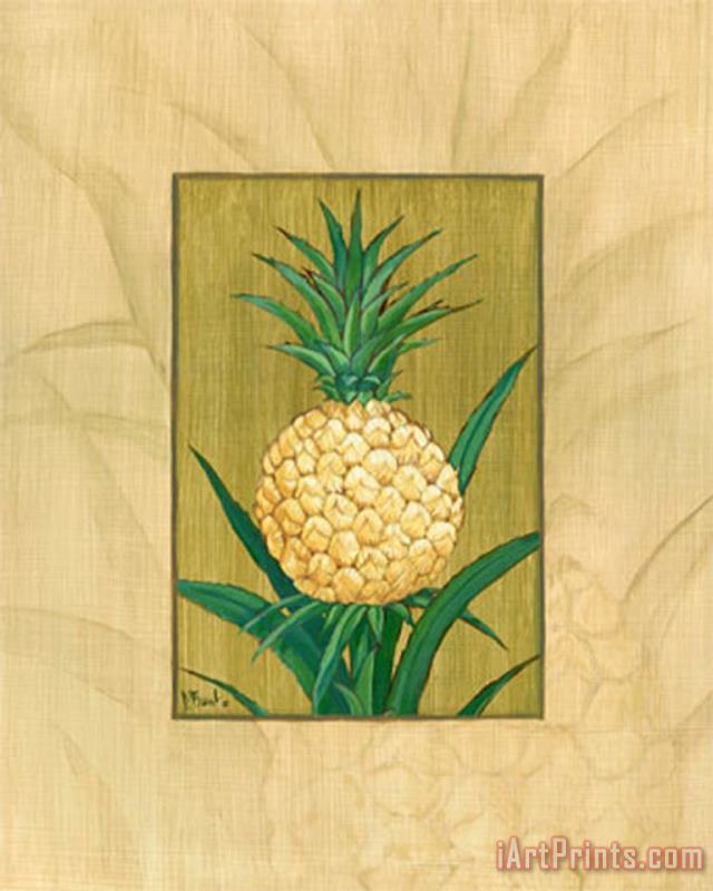 Sugar Loaf Pineapple painting - Paul Brent Sugar Loaf Pineapple Art Print