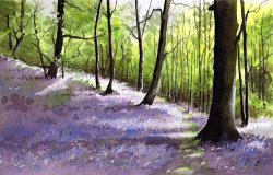 Paul Dene Marlor Bluebell wood