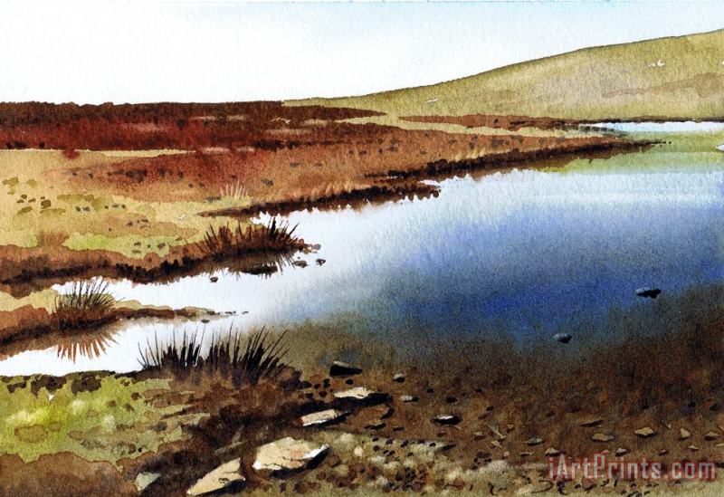 Cupwith Reservoir painting - Paul Dene Marlor Cupwith Reservoir Art Print