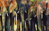 Elephant Herd by Paul Dene Marlor