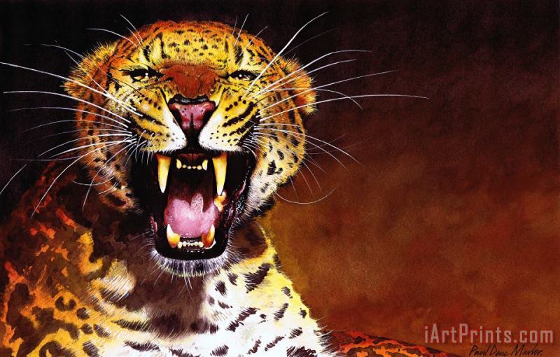 Leopard painting - Paul Dene Marlor Leopard Art Print