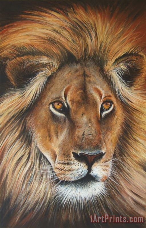 Lion painting - Paul Dene Marlor Lion Art Print