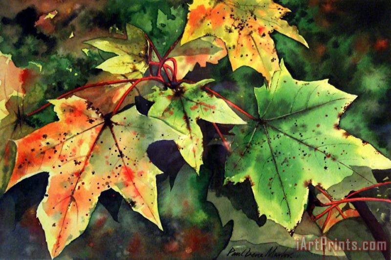 Sycamore Leaves painting - Paul Dene Marlor Sycamore Leaves Art Print