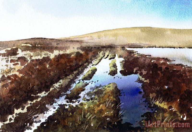 Wet lane Cupwith Reservoir painting - Paul Dene Marlor Wet lane Cupwith Reservoir Art Print