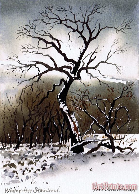 Winter Tree Stainland painting - Paul Dene Marlor Winter Tree Stainland Art Print
