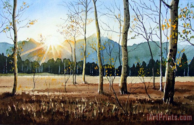 Woodland Sunset painting - Paul Dene Marlor Woodland Sunset Art Print