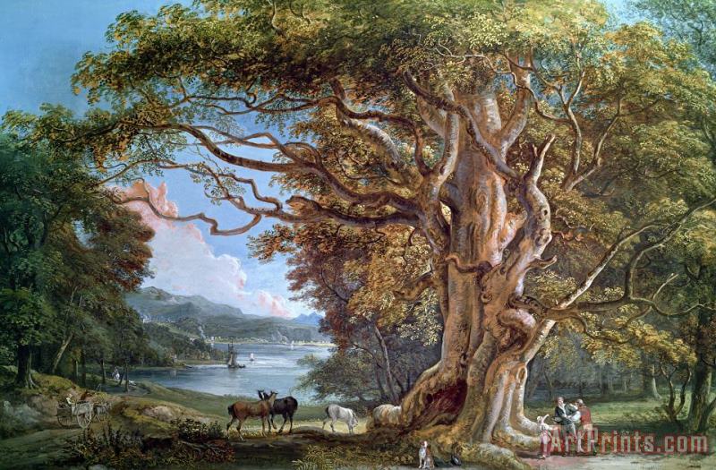 Paul Sandby An Ancient Beech Tree Art Painting