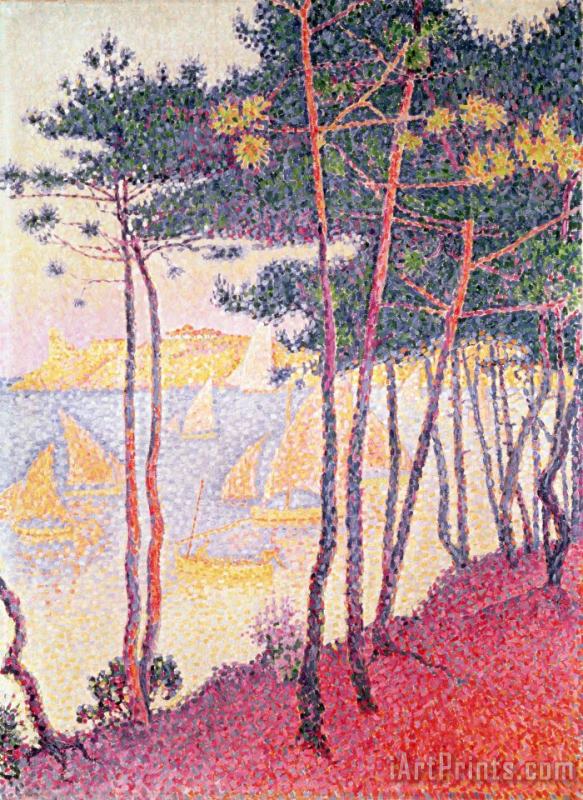 Paul Signac Sailing Boats and Pine Trees Art Painting