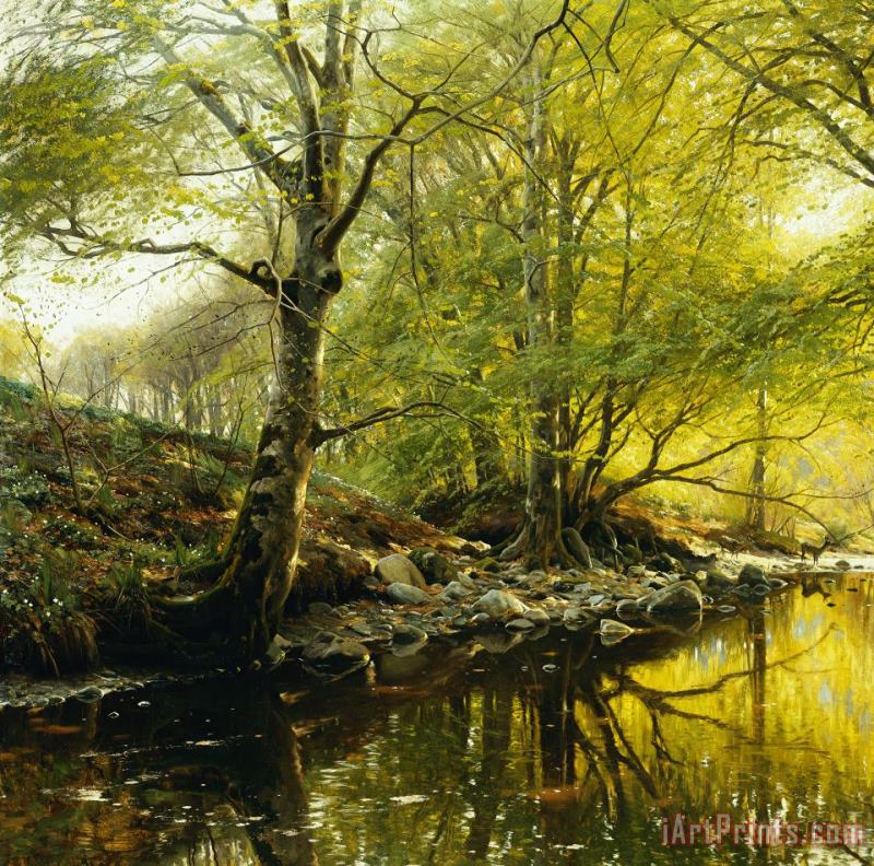 A Wooded River Landscape painting - Peder Monsted A Wooded River Landscape Art Print