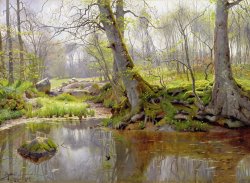 Peder Monsted Woodland Pond