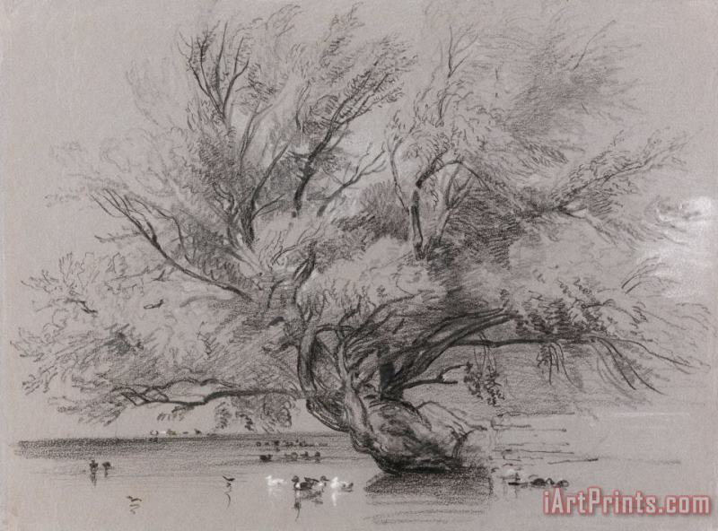 Peter de Wint Pond with Willow Tree And Ducks Art Painting