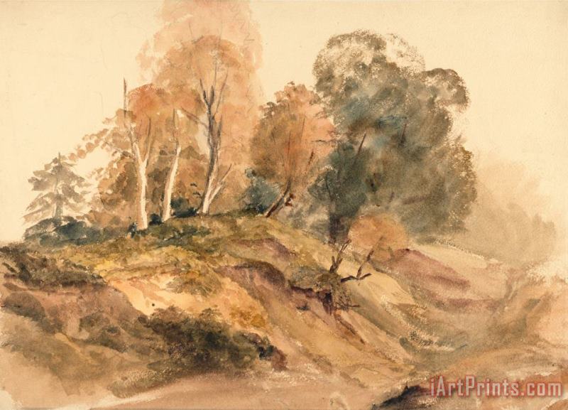 Trees on a Bank painting - Peter de Wint Trees on a Bank Art Print