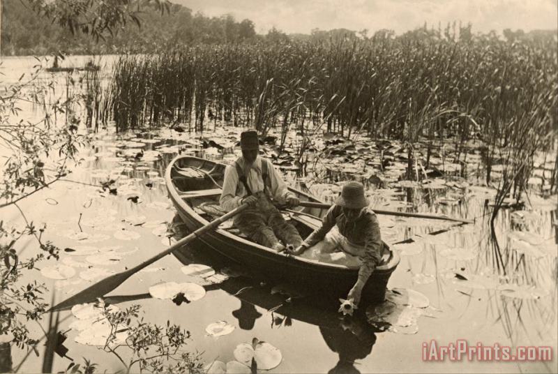 Gathering Water Lilies painting - Peter Henry Emerson Gathering Water Lilies Art Print