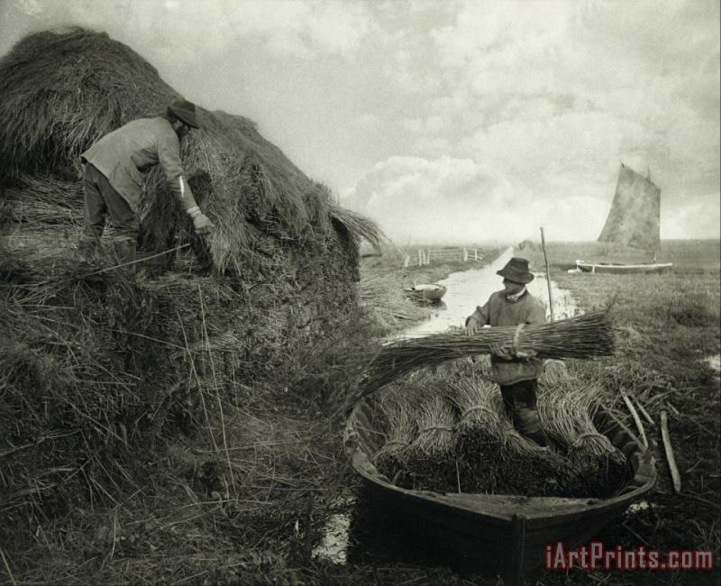 Ricking The Reed painting - Peter Henry Emerson Ricking The Reed Art Print