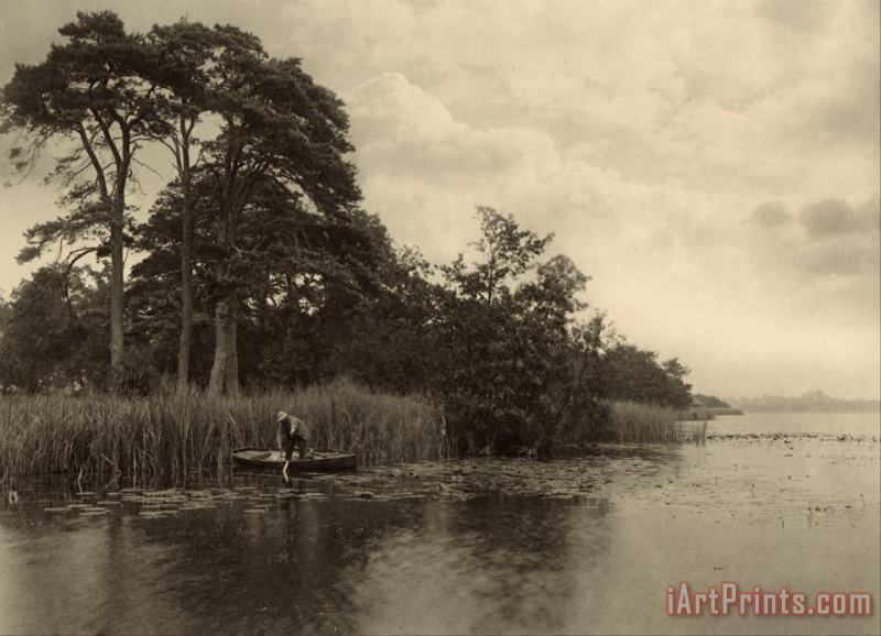 Peter Henry Emerson The Haunt of The Pike Art Painting