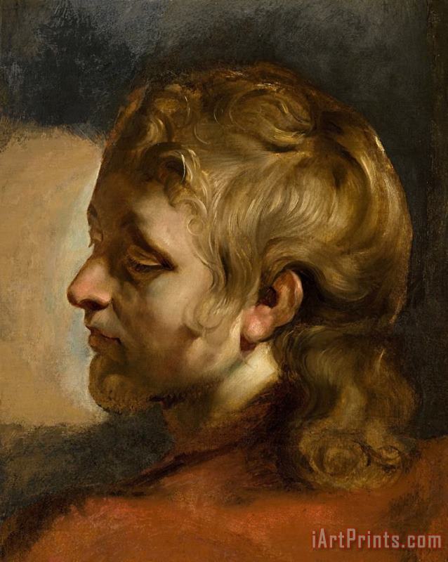 Peter Paul Rubens Study for Head of Saint John The Evangelist Art Print