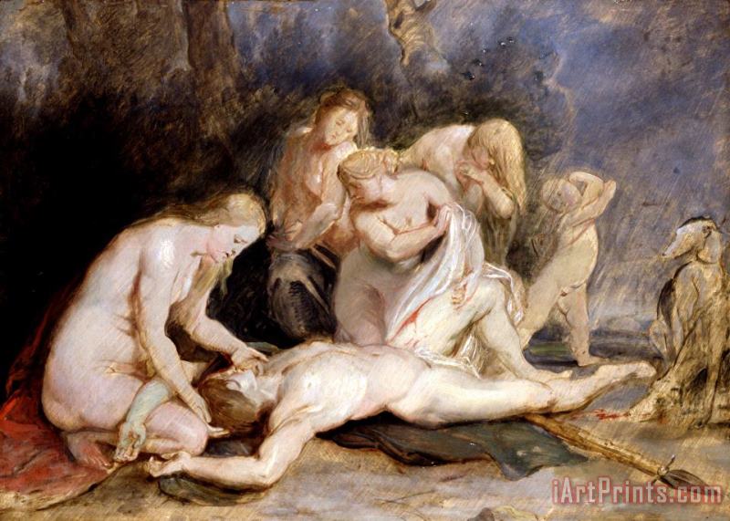 Peter Paul Rubens Venus Mourning Adonis Art Print
