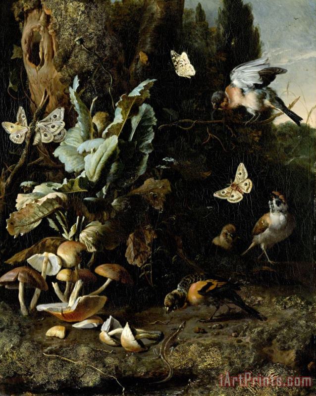 Animals And Plants painting - Melchior de Hondecoeter Animals And Plants Art Print