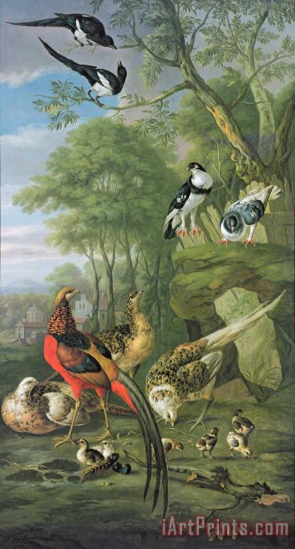 Cock Pheasant Hen Pheasant And Chicks And Other Birds In A Classical Landscape painting - Pieter Casteels Cock Pheasant Hen Pheasant And Chicks And Other Birds In A Classical Landscape Art Print