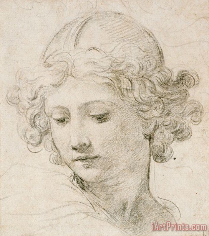 Pietro da Cortona Head Of An Angel Art Painting