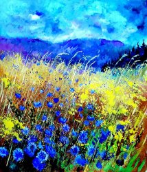 Pol Ledent Blue cornflowers 67