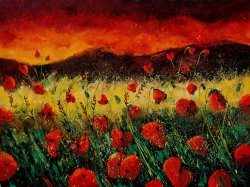 Pol Ledent Poppies 68