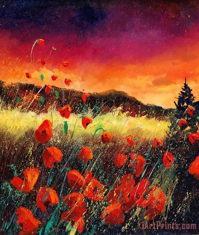 Poppies at sunset 67 painting - Pol Ledent Poppies at sunset 67 Art Print