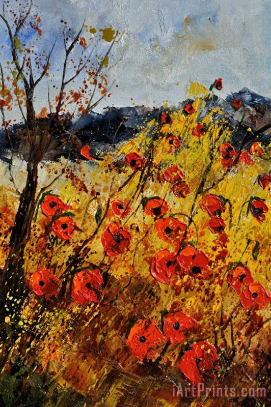 Poppies in provence 456321 painting - Pol Ledent Poppies in provence 456321 Art Print