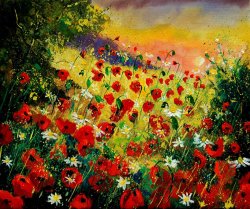 Pol Ledent Red poppies