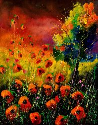 Pol Ledent Red Poppies 451130