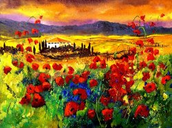 Pol Ledent Tuscany Poppies