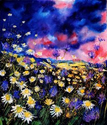 Pol Ledent Wildflowers 67