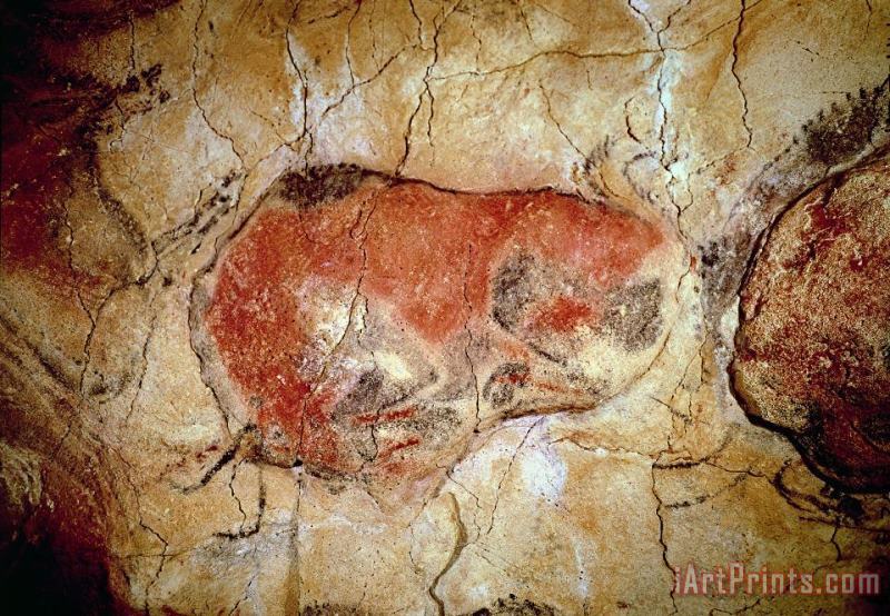 Bison from the Altamira Caves painting - Prehistoric Bison from the Altamira Caves Art Print
