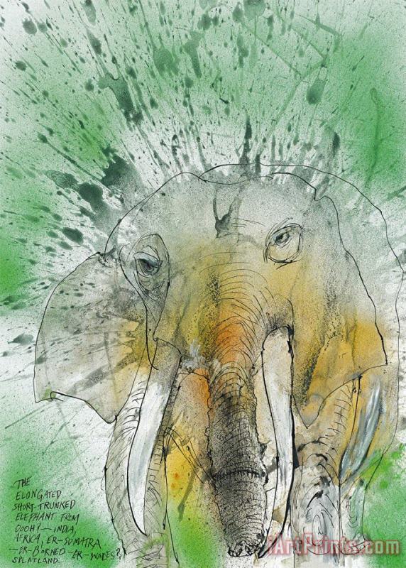 Ralph Steadman African Asian Elephant, 2017 Art Painting