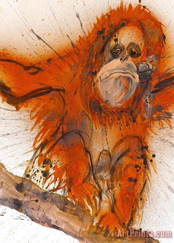 Bornean Sumatran Orangutan, 2017 painting - Ralph Steadman Bornean Sumatran Orangutan, 2017 Art Print