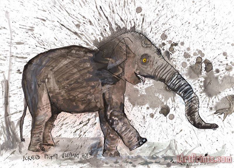 Borneo Pygmy Elephant, 2017 painting - Ralph Steadman Borneo Pygmy Elephant, 2017 Art Print