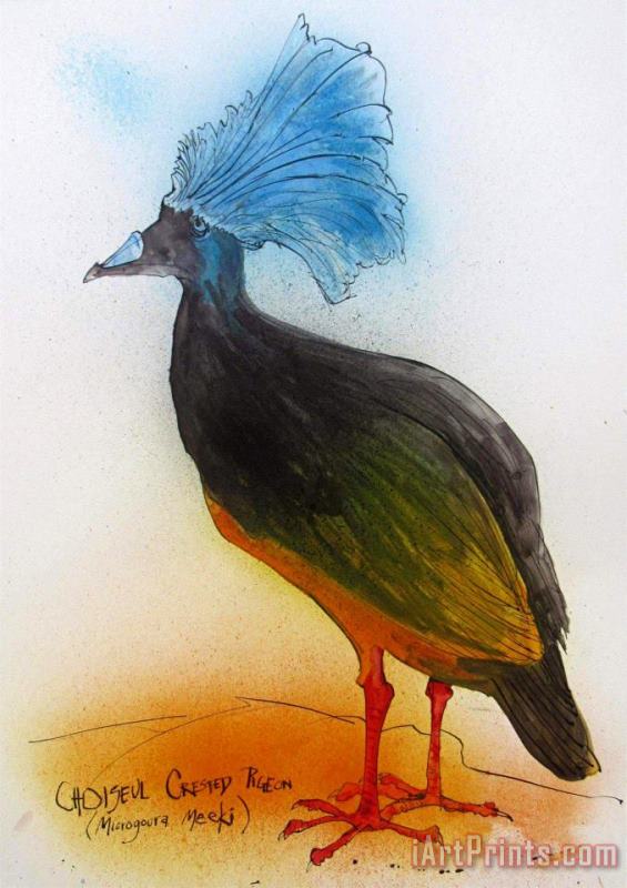 Choiseul Crested Pigeon, Ca. 2021 painting - Ralph Steadman Choiseul Crested Pigeon, Ca. 2021 Art Print