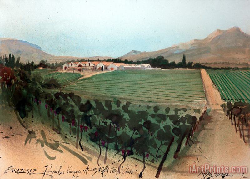 Wine Oddbins Errauriz Panquehue Vineyard Chile, 1992 painting - Ralph Steadman Wine Oddbins Errauriz Panquehue Vineyard Chile, 1992 Art Print