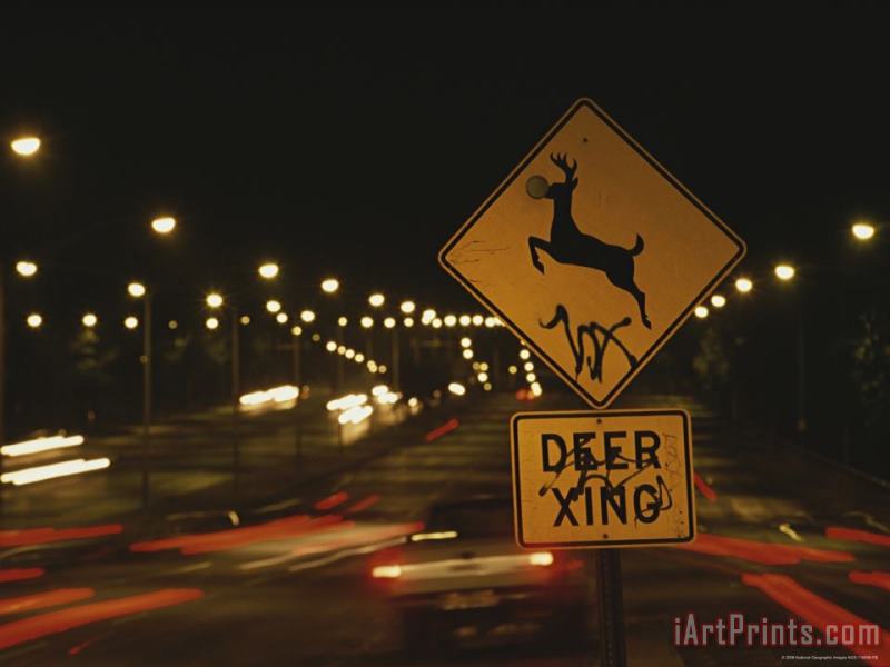 A Deer Crossing Sign in The Middle of Roosevelt Boulevard painting - Raymond Gehman A Deer Crossing Sign in The Middle of Roosevelt Boulevard Art Print