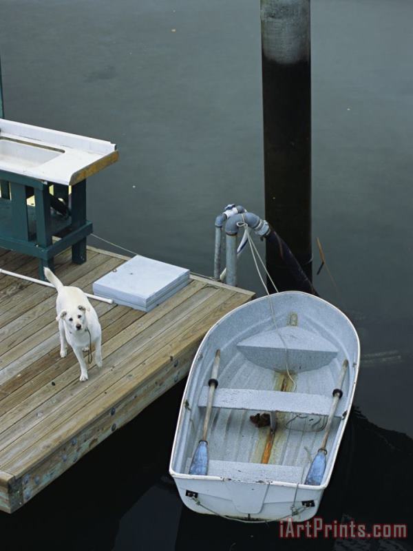 A Dog Waits on a Dock Near a Small Row Boat painting - Raymond Gehman A Dog Waits on a Dock Near a Small Row Boat Art Print