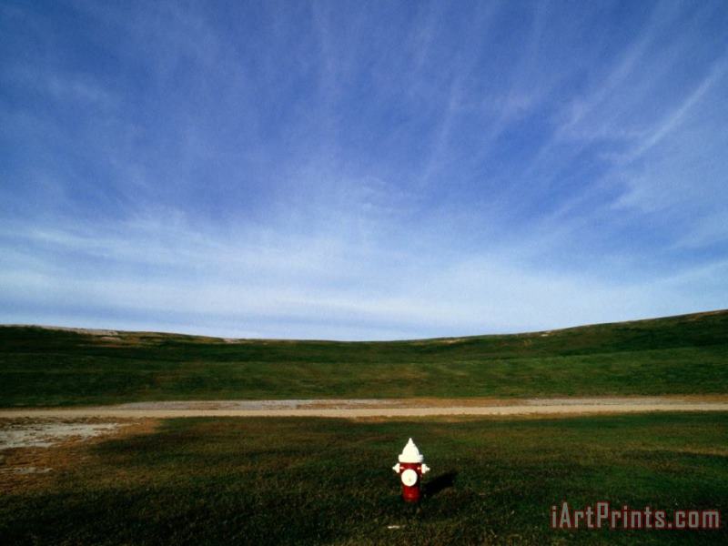 A Fire Hydrant in a Green Field Under a Wide Blue Sky painting - Raymond Gehman A Fire Hydrant in a Green Field Under a Wide Blue Sky Art Print