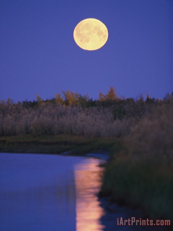 Raymond Gehman A Full Moon Is Reflected in The Mackenzie River Art Print