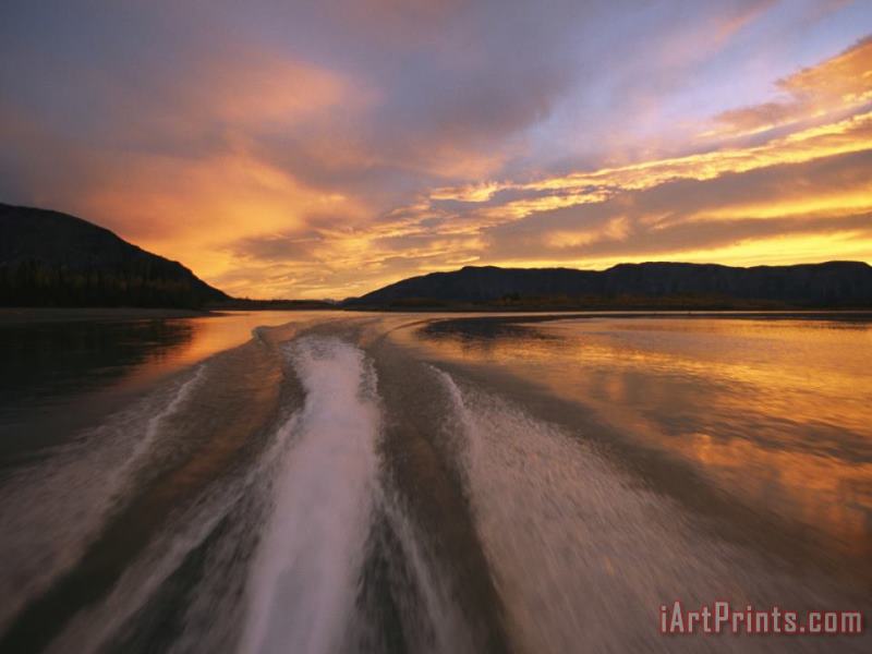 A Jet Boat Leaves a Wake in The Mackenzie River at Sunset painting - Raymond Gehman A Jet Boat Leaves a Wake in The Mackenzie River at Sunset Art Print