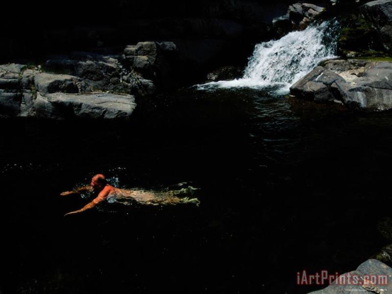 A Man Taking a Dip in a Creek Fed Pool in The Gila Wilderness Area painting - Raymond Gehman A Man Taking a Dip in a Creek Fed Pool in The Gila Wilderness Area Art Print